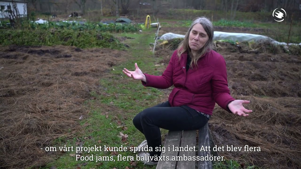 Baljväxter går att odla i Sverige