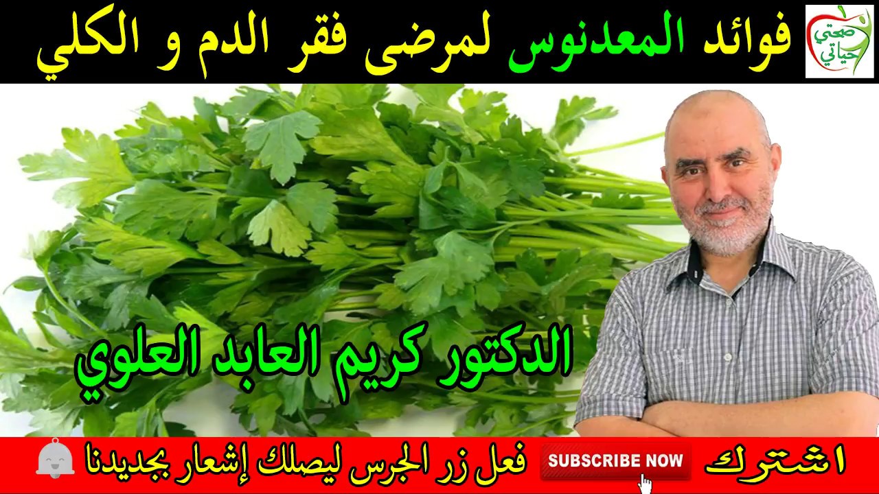 فوائد المعدنوس لمرضى فقر الدم و الكلي مع الدكتور كريم العابد العلوي