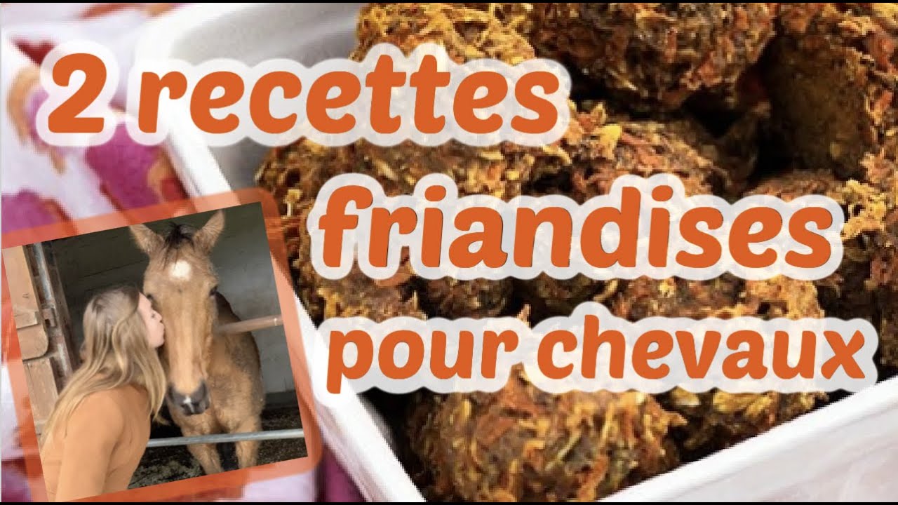 Friandises pour chevaux maison - 2 recettes