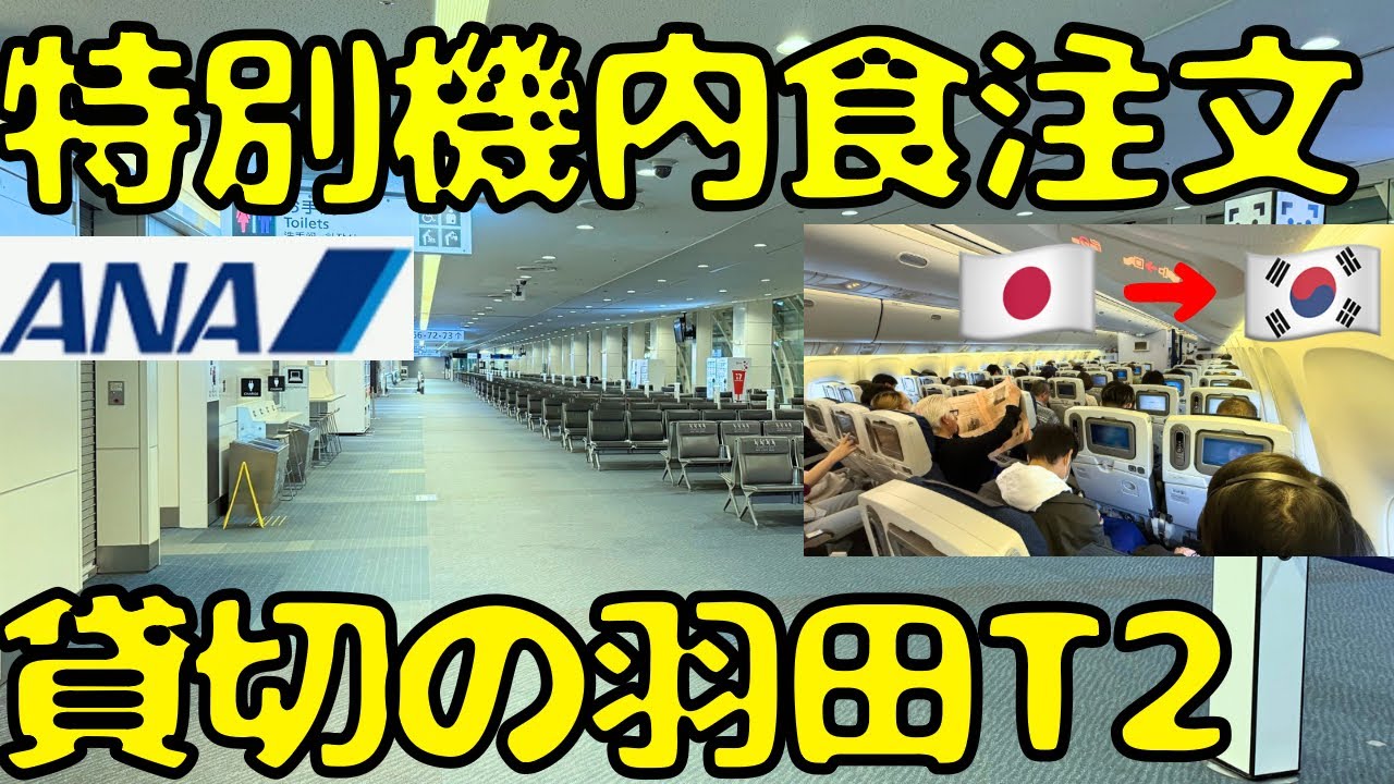 【締め切られた羽田T2で空港泊⁉︎】ANAで無料の特別機内食を頼みソウル🇰🇷に向かうと...