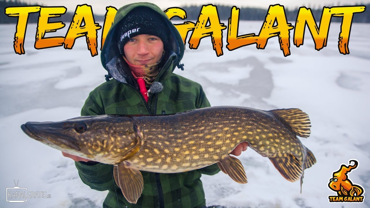 ISMETE SNÖSTORM MED GRISKRIS | Team Galant