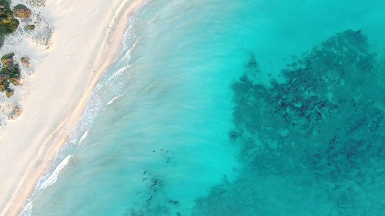 Lido Marini  ( M2Z  )