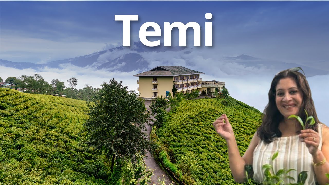 Sikkim | Temi Tea #cherryresort #lifestylevlog #travelvlog
