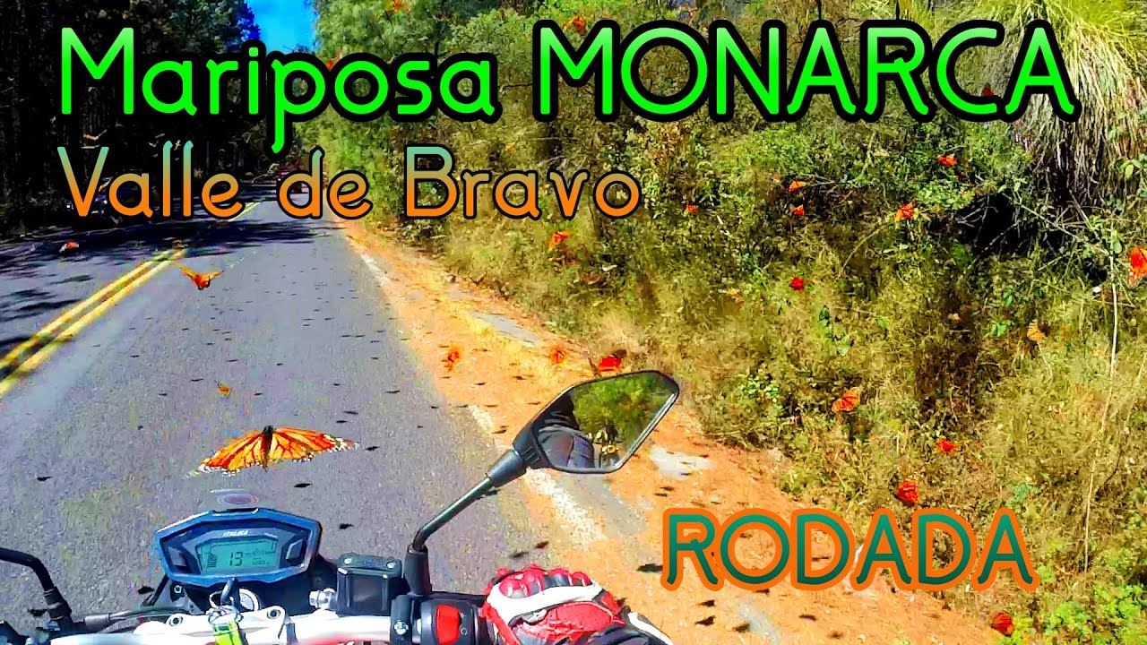 Rodada al SANTUARIO MARIPOSA MONARCA VALLE DE BRAVO 🦋 /Tienes que ir en MOTO / Está INCREIBLE