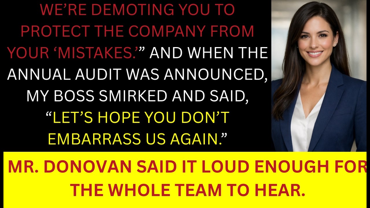 my boss Demoted Me To Protect A Failing VP. When The Annual Audit Started, Records Told A Different