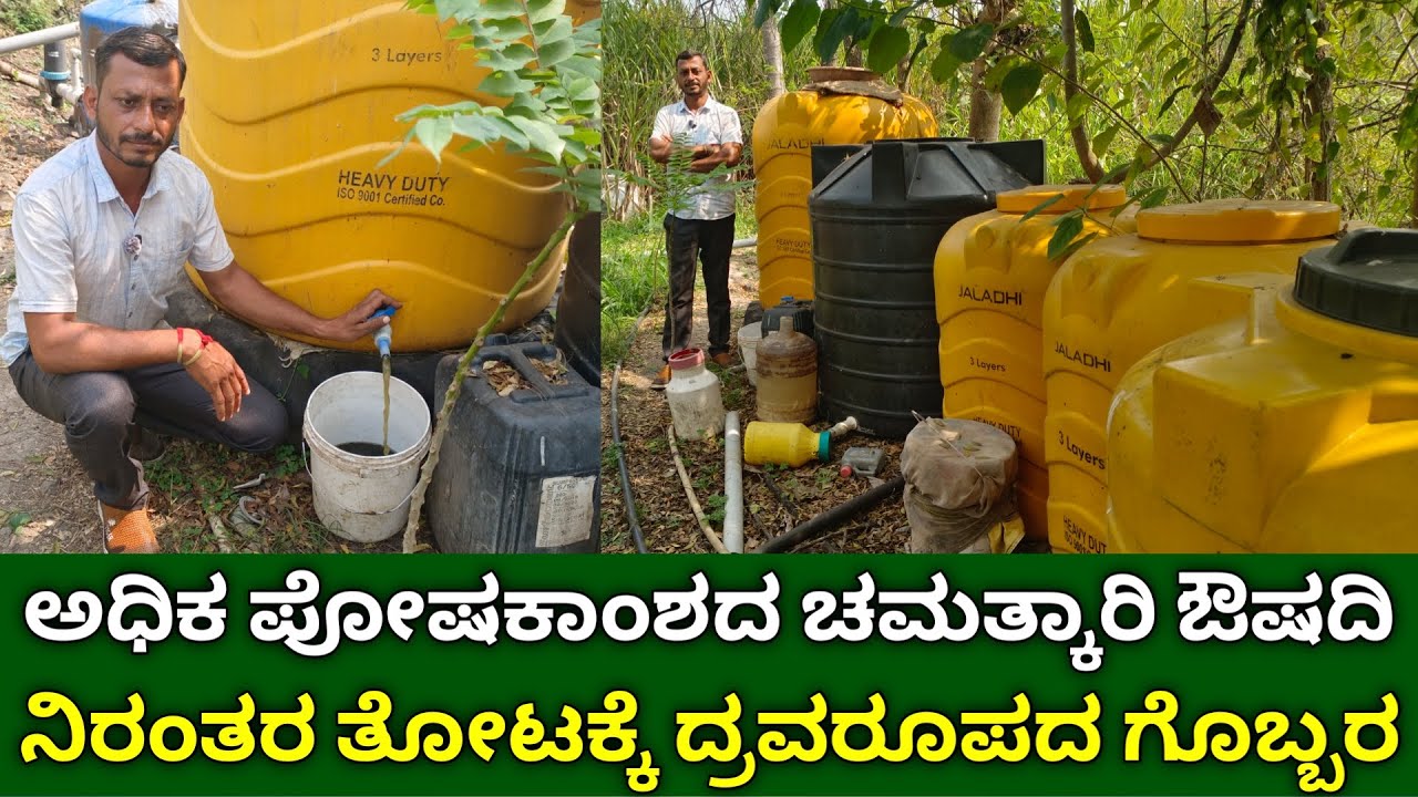ಅಧಿಕ ಪೋಷಕಾಂಶದ ಚಮತ್ಕಾರಿ ಔಷದಿ | ದ್ರವರೂಪದ ಗೊಬ್ಬರ | organic liquid nutrient | organic fertilizer kannada
