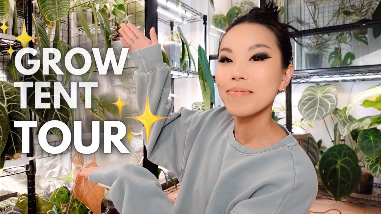 GROW TENT TOUR! my setup + all of my plants living that sweet sweet grow tent life