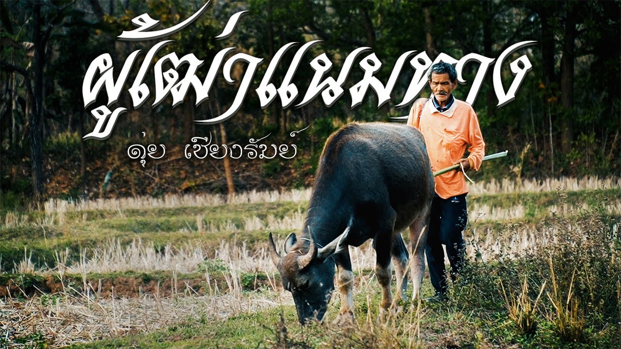 ผู้เฒ่าแนมทาง - ดุ่ย เชียงรัมย์[MUSICVIDEO]