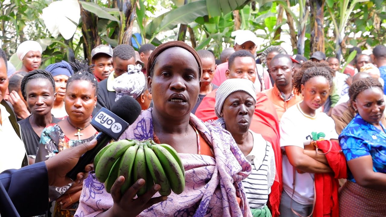 MOLLEL AUAWA ARUSHA, ADAIWA KUIBA NDIZI, MKE ABEBA KICHANE NA KUELEZA MKASA MZIMA