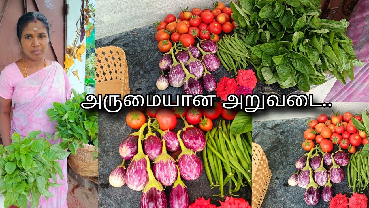 Ipadi Oru Aruvadai Ah paathathee Illai ☺️☺️