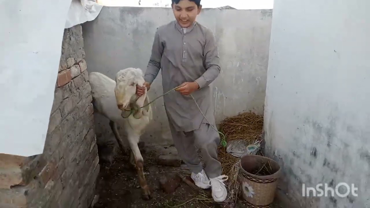 My first  vlog🥰🥰 