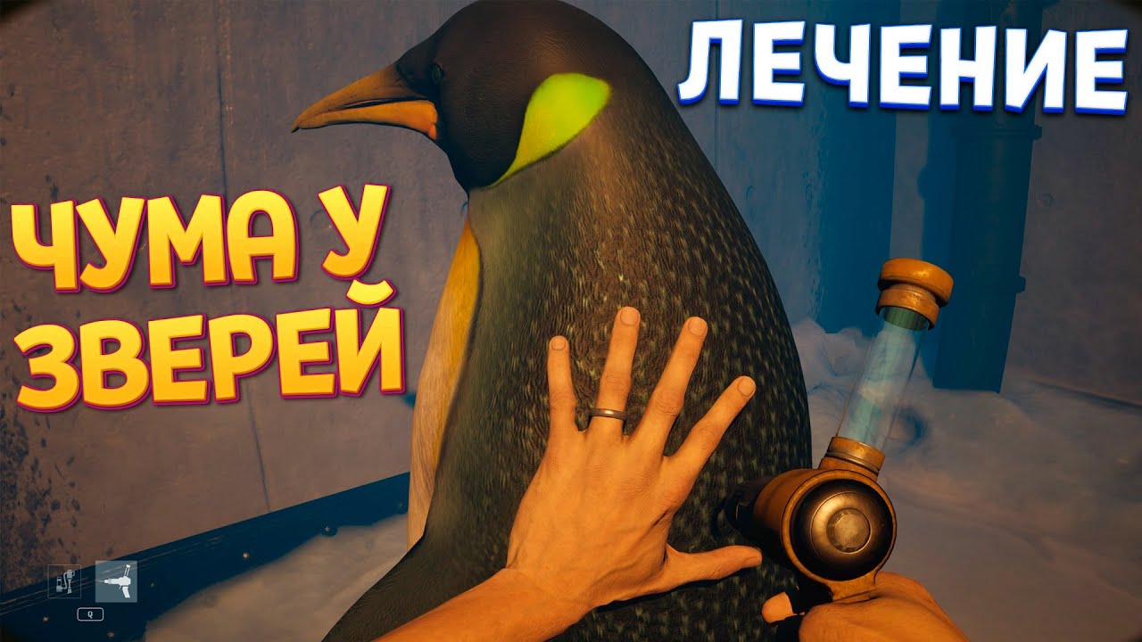 БОЛЕЗНЬ У ЖИВОТНЫХ ( Zoochosis )