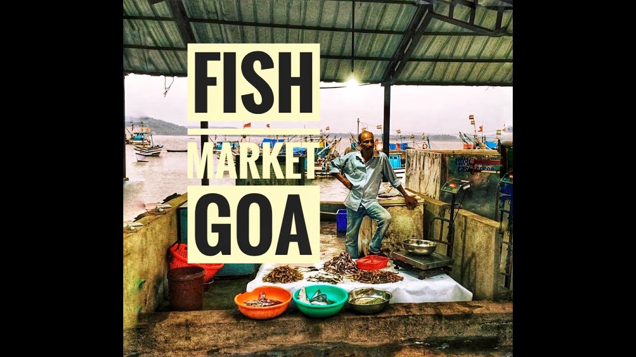 Goa, Fish Market Chapora | Гоа, Индия, рыбный маркет , Чапора