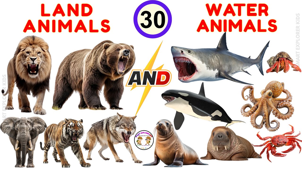 30 Land & Water Animals for Kids 🐠| Wild Animals | Learn Animal Names & Sounds | STEM Learning Video