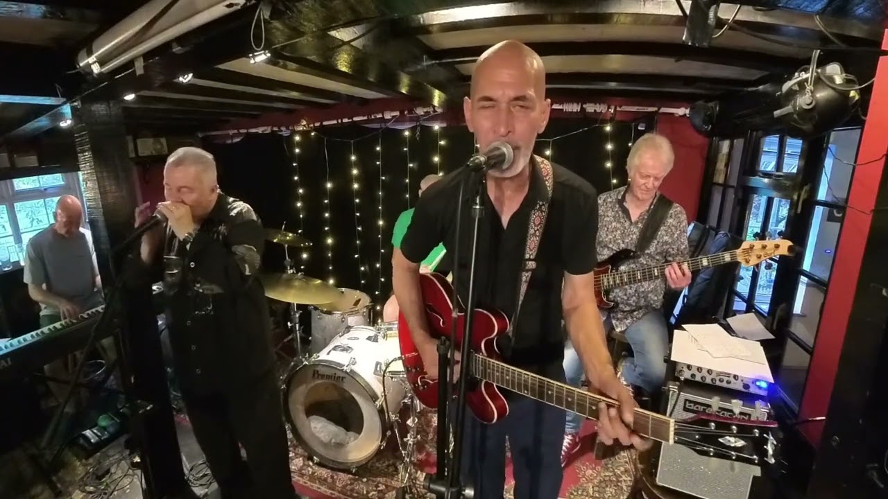 Honey B's  - Just Your Fool