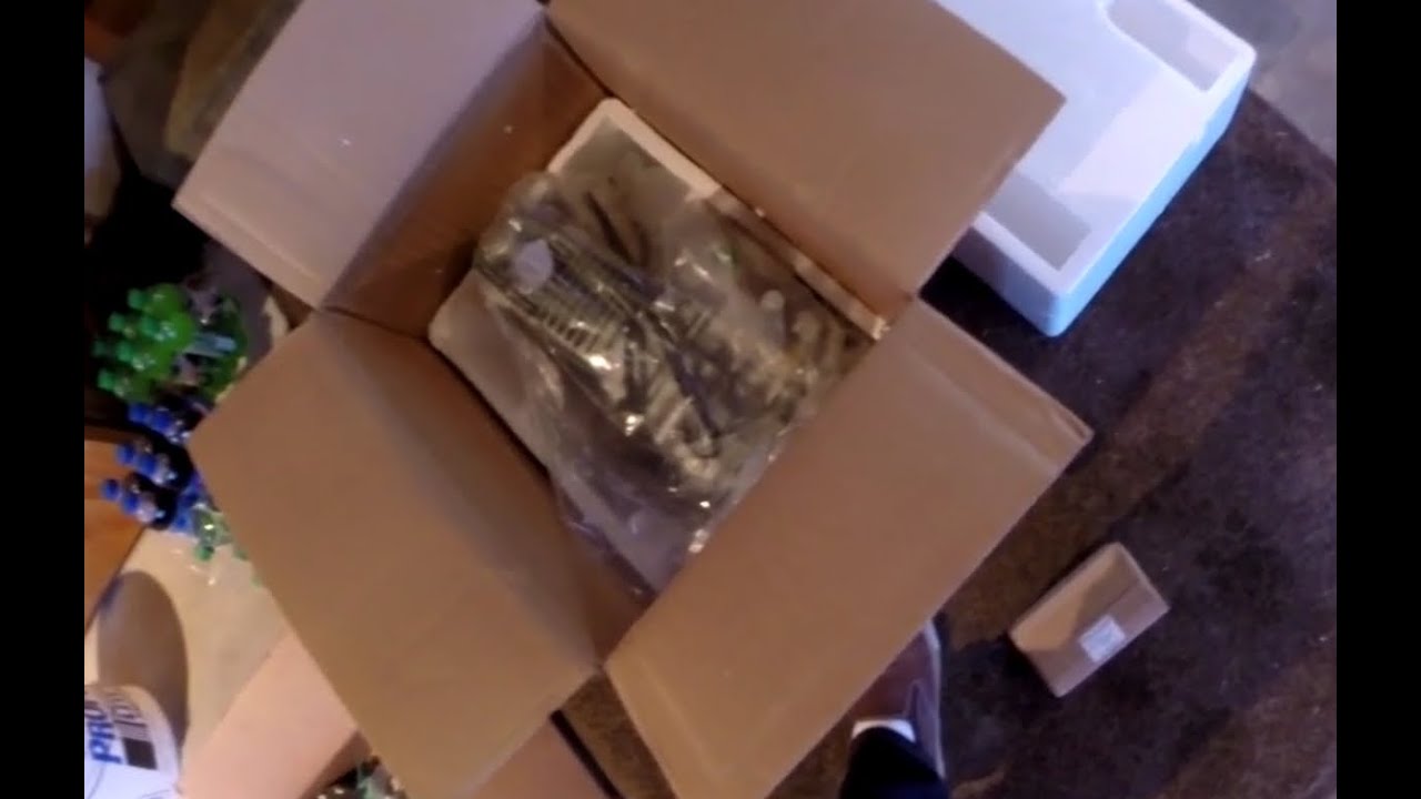 Piranha 140cc Unboxing (YX 140)