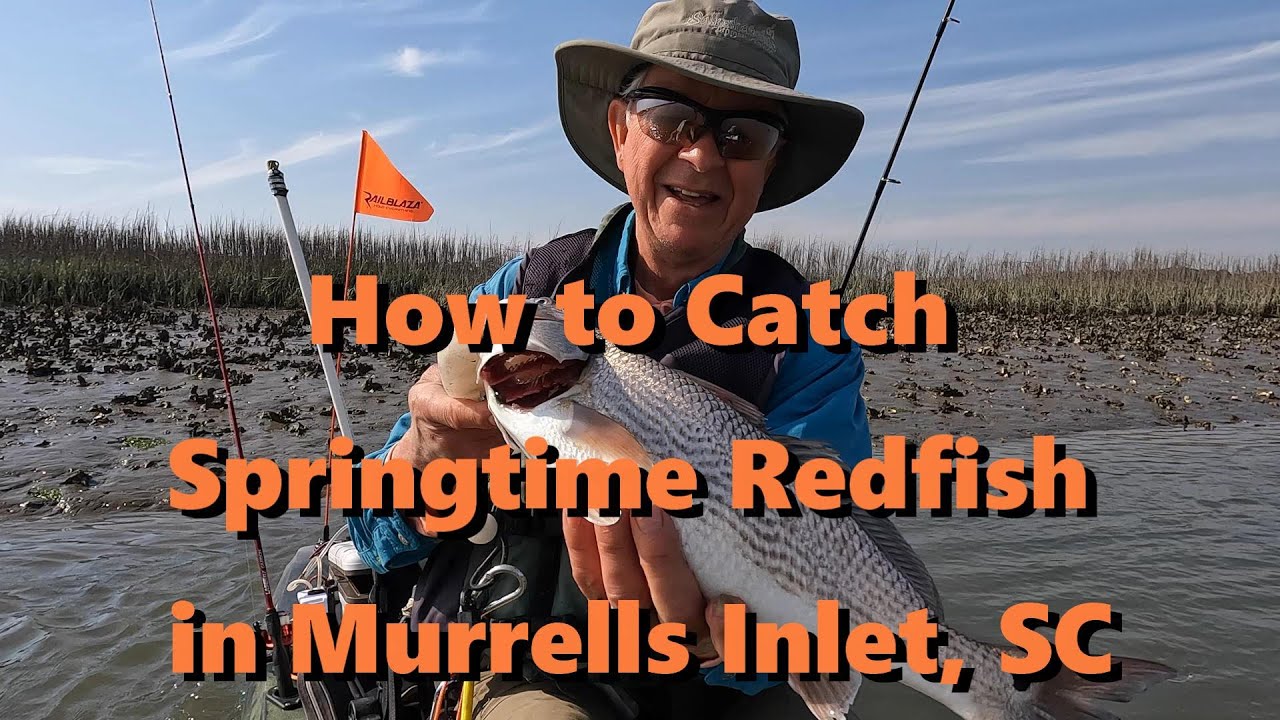 How to Catch Springtime Redfish in Murrells Inlet SC