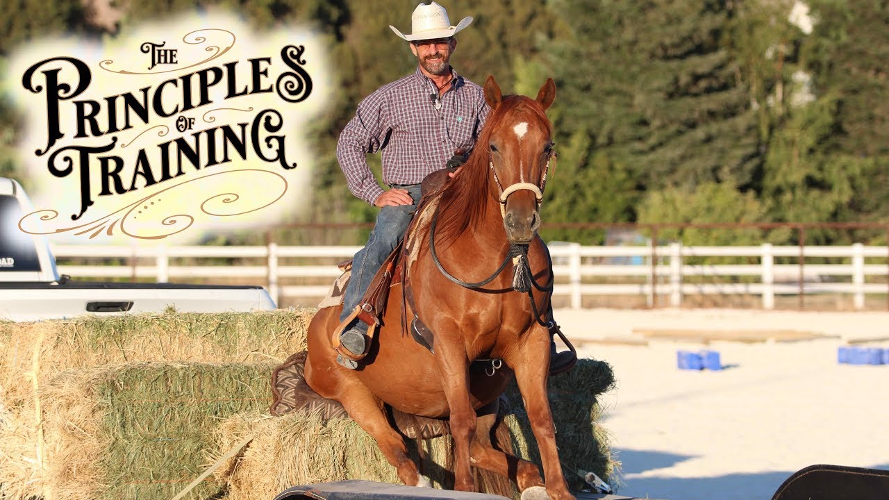 The Principles of Training Season 1 Episode 7: 
