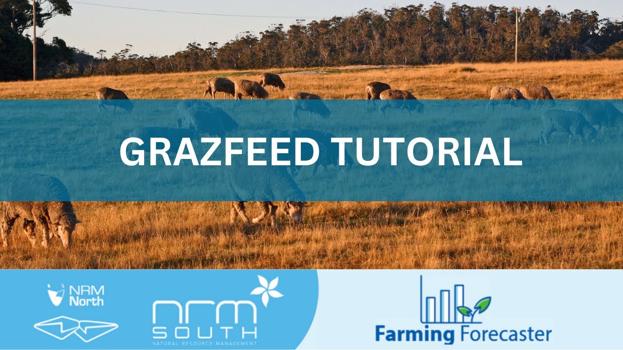 How to use Grazfeed - Tutorial