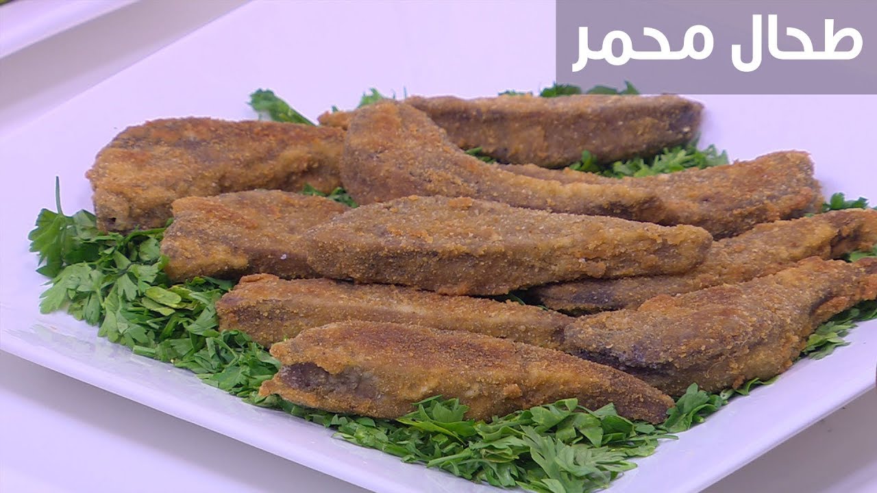 طحال محمر| نجلاء الشرشابي