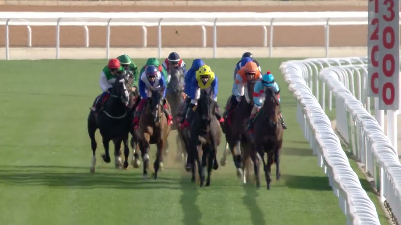 Race Replay: Neom Turf Cup Stakes