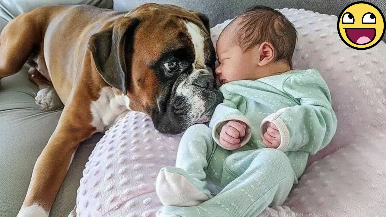 Heartwarming 30’ Baby & Dog Best Friends Moments 🐶👶❤️