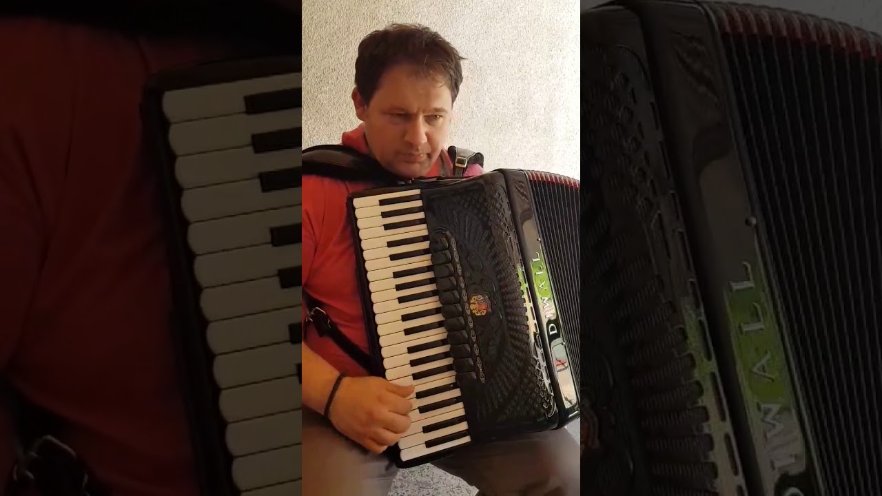 Diwall Harmonika / Accordion Diwall