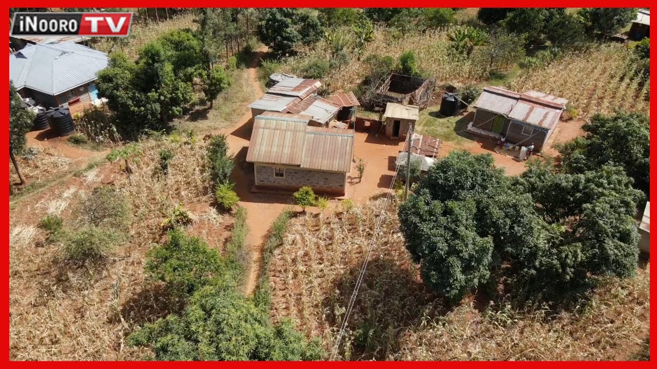 MĨRŨRI YA NG’ARAGU || Central gũcemwo nĩ ng’aragu thutha wa makiri ma mbeca kuumbĩkwo tĩĩri-inĩ