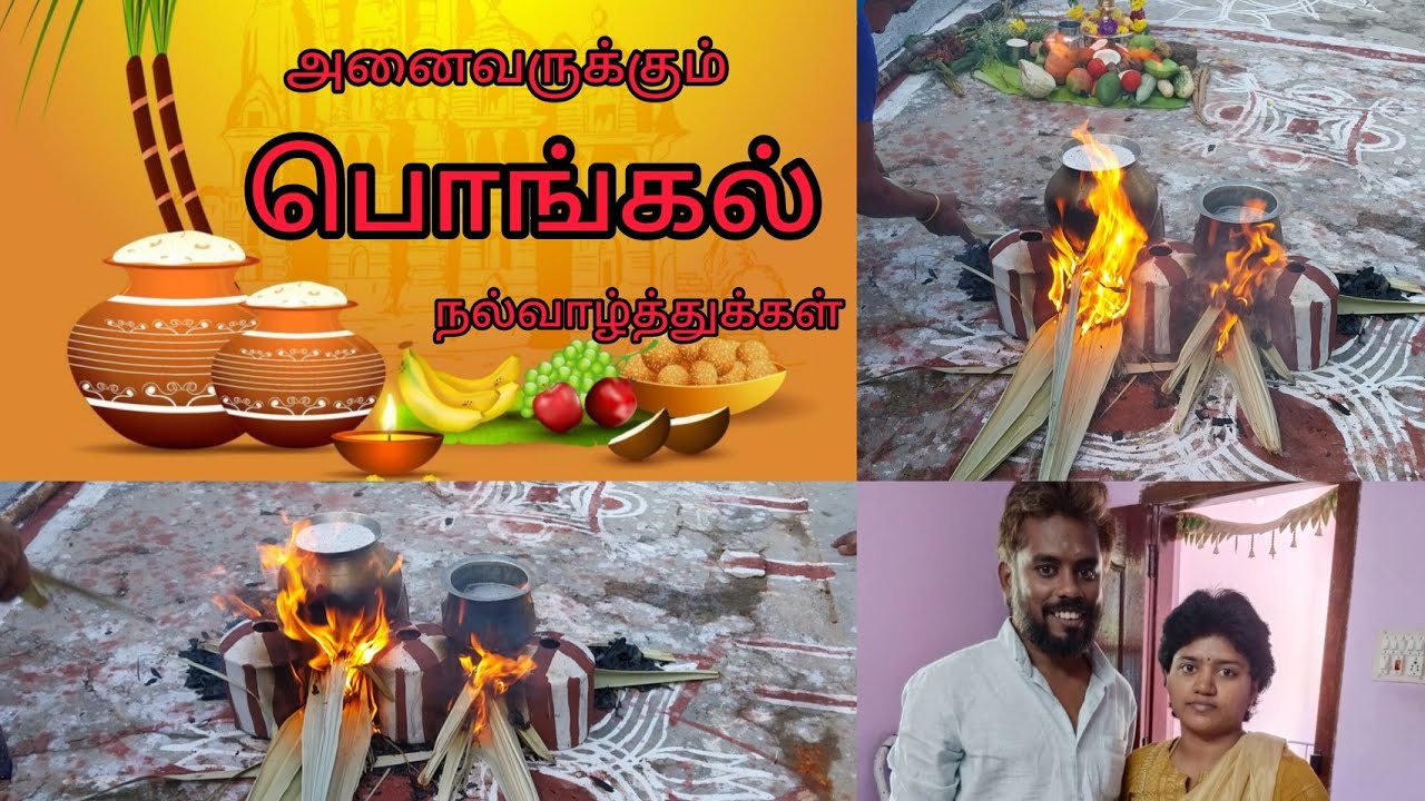 அனைவருக்கும் பொங்கல் நல்வாழ்த்துக்கள். Pongal celebration full video 