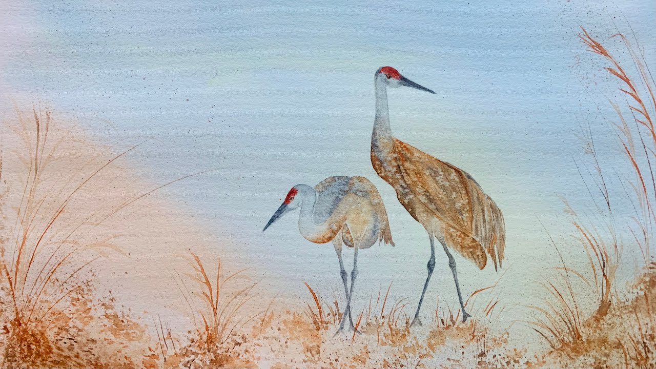 How to Paint Elegant Sandhill Cranes In Watercolour, With a Simple and Beautiful Foliage Background