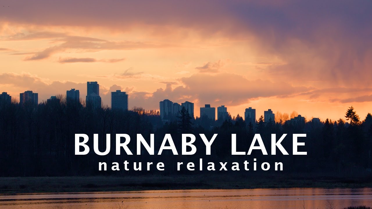 Discovering Burnaby Lake: A Calming and Soothing Nature Film