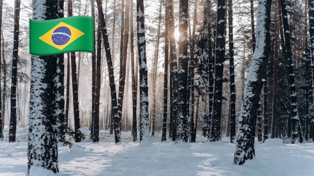 Tiempos del año en portugués #vocabularioenportugues #13