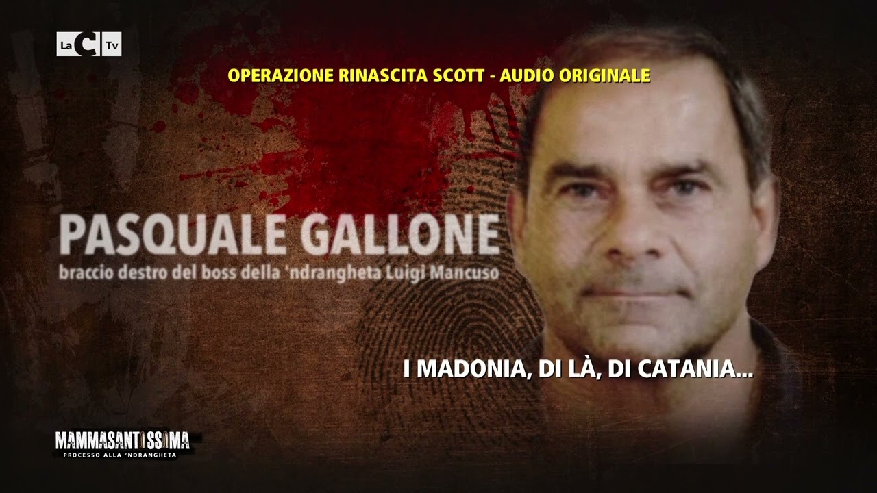 Ci vogliono dieci siciliani per fare un calabrese - Mammasantissima