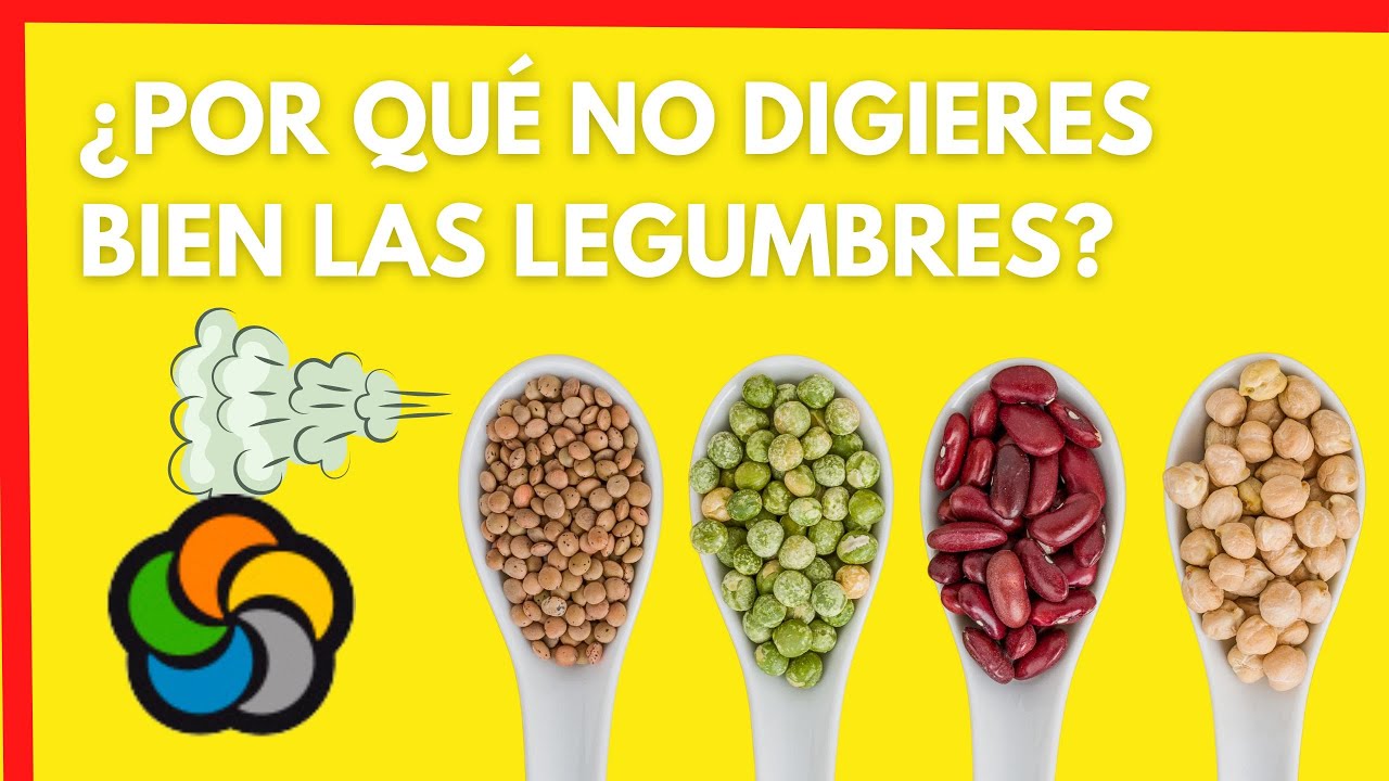 ¿Por qué no digiero  bien las legumbres?