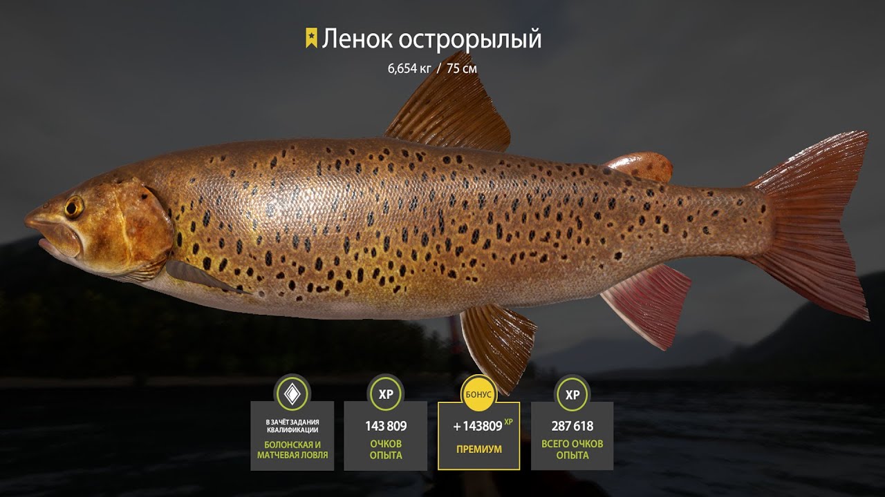 📢СТРИМ РР4🔥ВЕЧЕРНЯЯ РЫБАЛОЧКА🔥РУССКАЯ РЫБАЛКА 4