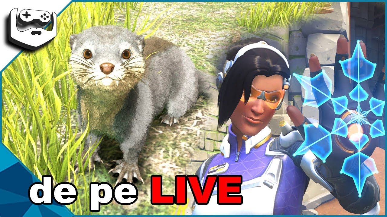 probleme de matematică în ARK și play of the game în Overwatch