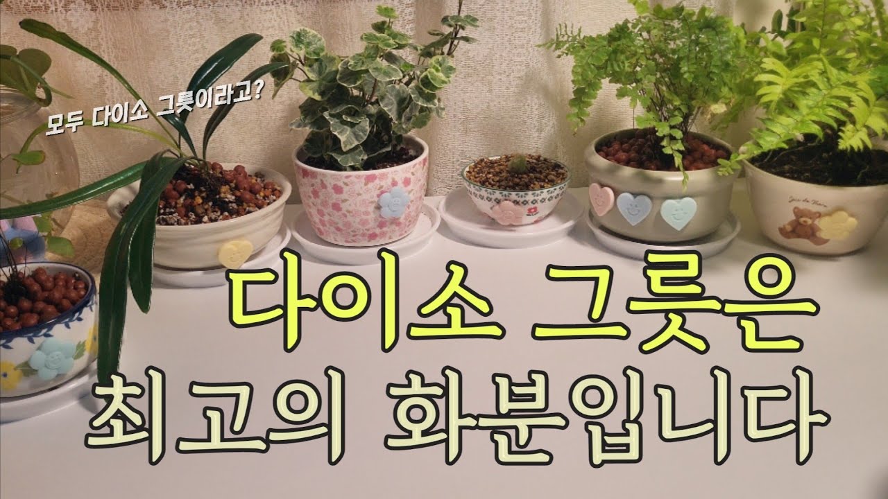 드릴없이 다이소 그릇에 구멍 뚫어 예쁜 화분만들기| 수경재배 하기 좋은 다이소 미니어항과 유리컵 추천 #화분 #화분갈이 #화분만들기 #다이소화분 #수경재배 #수경식물