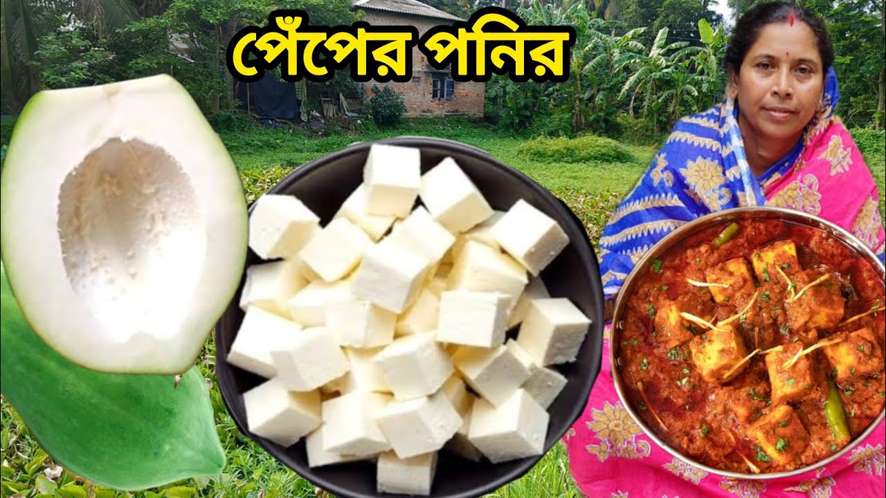 বিনা দুধে ১টা পেঁপে দিয়ে যে এত সুন্দর পনির বানানো যায় না দেখলে বিশ্বাস করবেন না। Puneer recipe