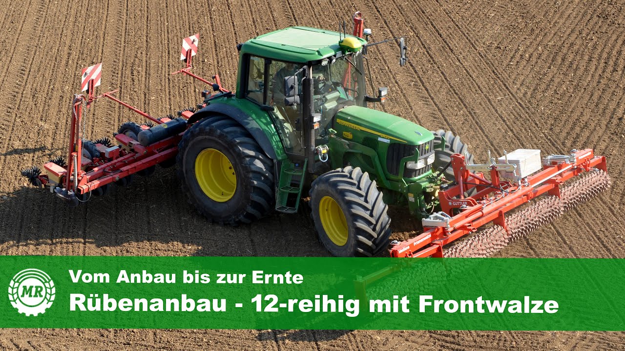 Anbau von Zuckerrüben