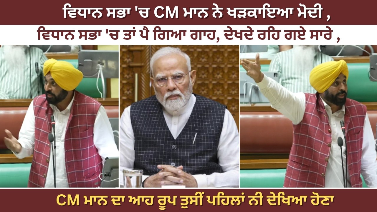 ਵਿਧਾਨ ਸਭਾ 'ਚ CM ਮਾਨ ਨੇ ਖੜਕਾਇਆ ਮੋਦੀ , ਵਿਧਾਨ ਸਭਾ  'ਚ ਤਾਂ ਪੈ ਗਿਆ ਗਾਹ, ਦੇਖਦੇ ਰਹਿ ਗਏ ਸਾਰੇ