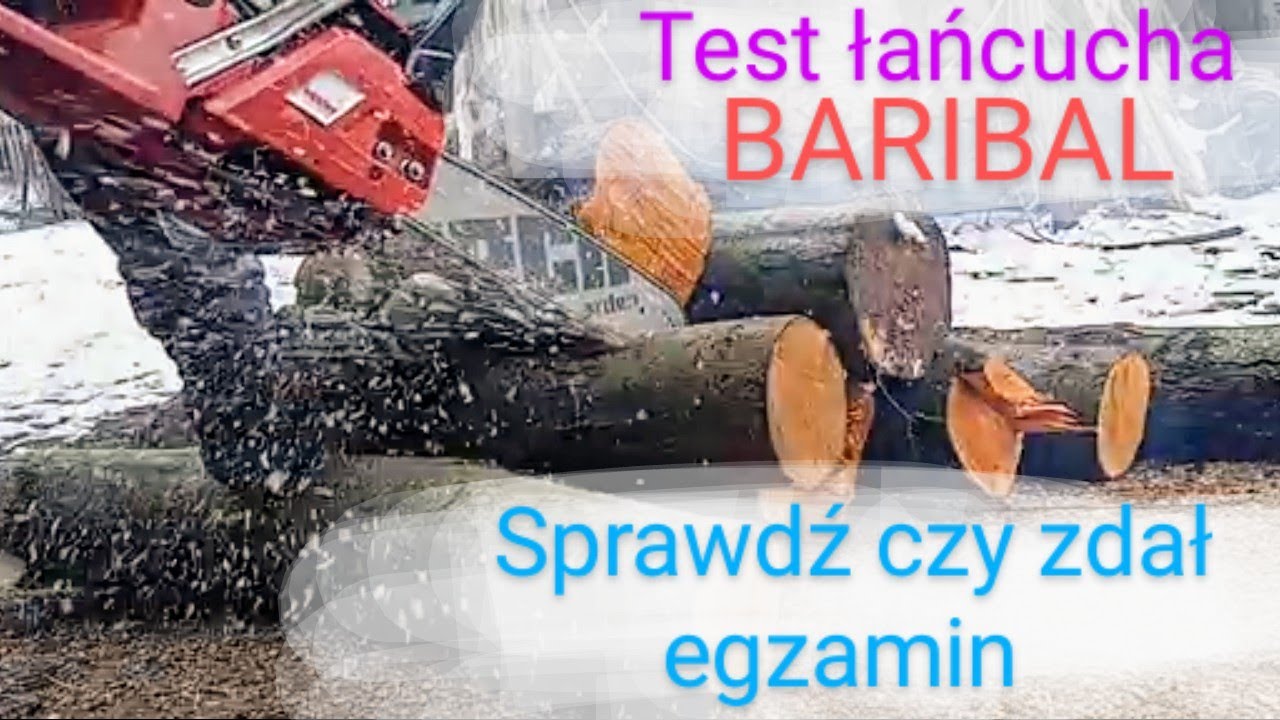 Baribal pełne dłuto(21lpx 0.325 1.5 66) . Jak tnie łańcuch prosto z paczki.Pierwsze cięcia, wrażenia