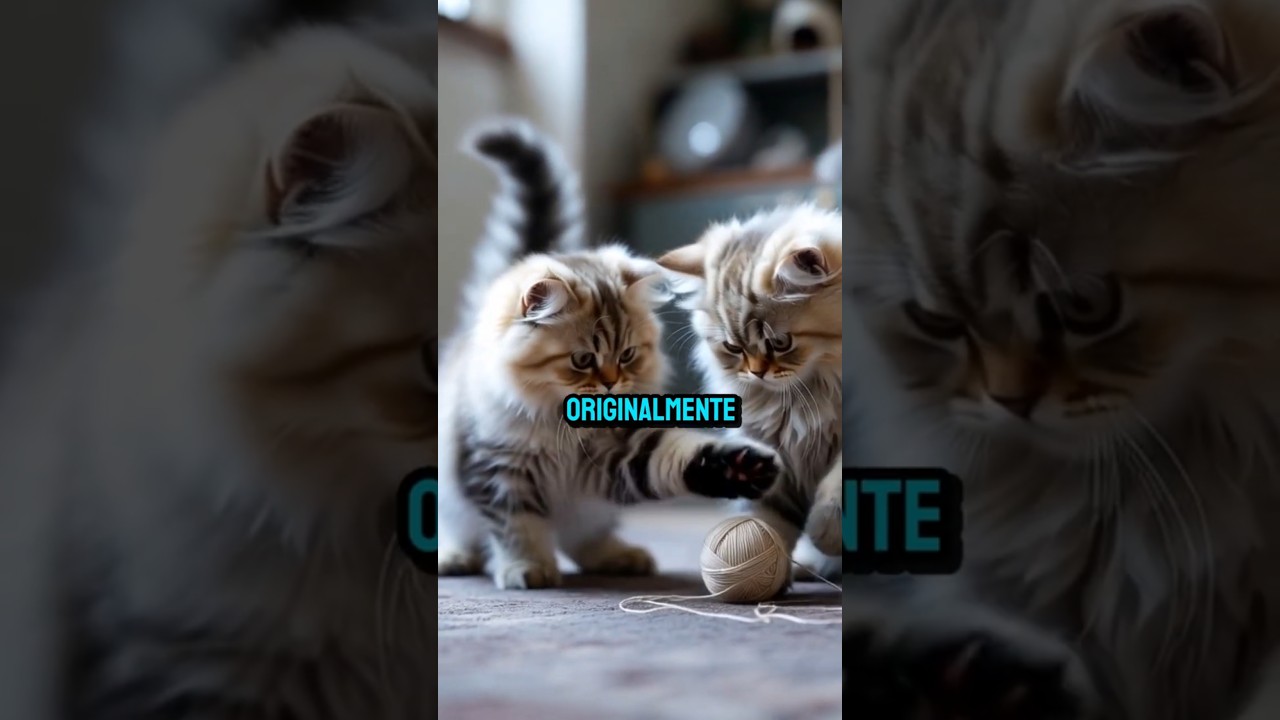 👉No sabes ESTO del GATO PERSA🐈 