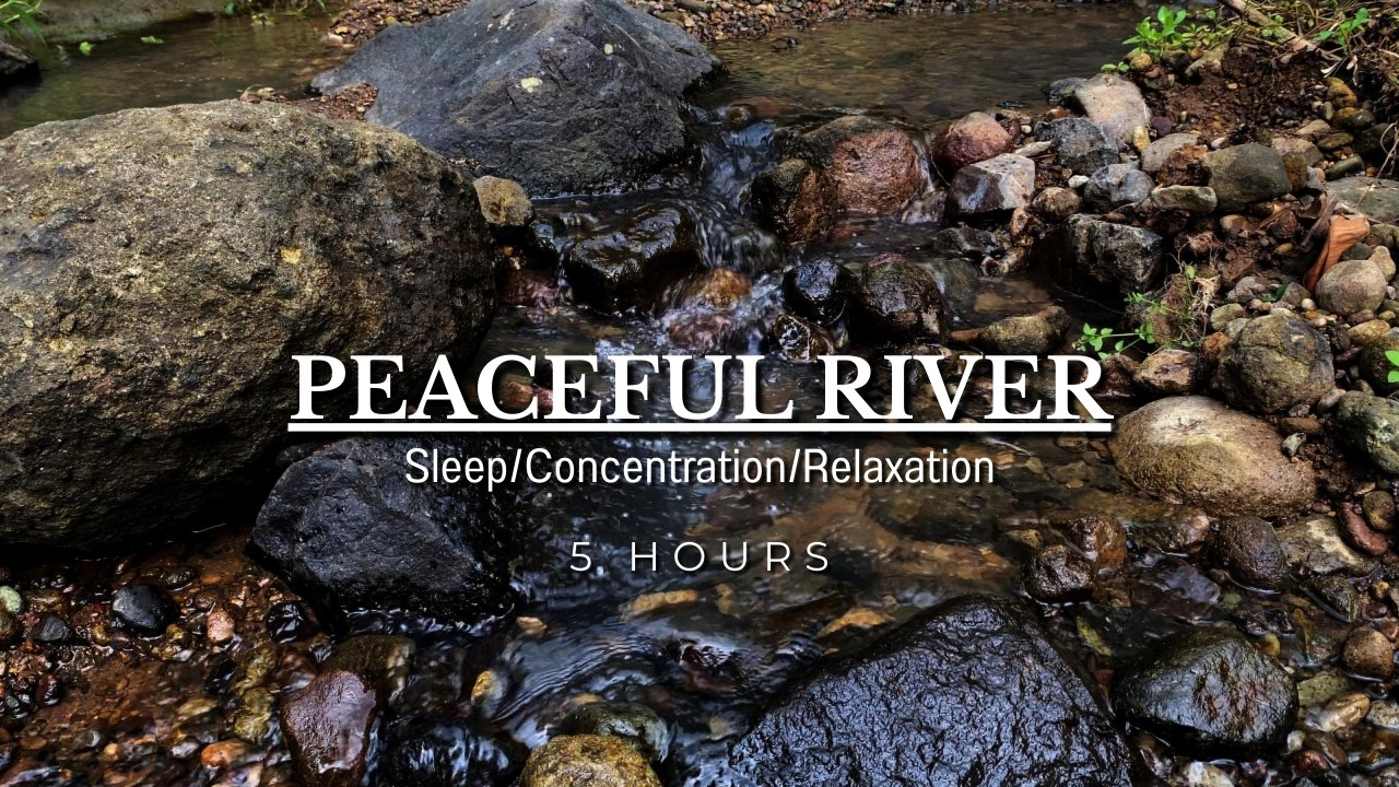 Peaceful River Water Sounds, Light Forest Birds, Calming Natural Ambience