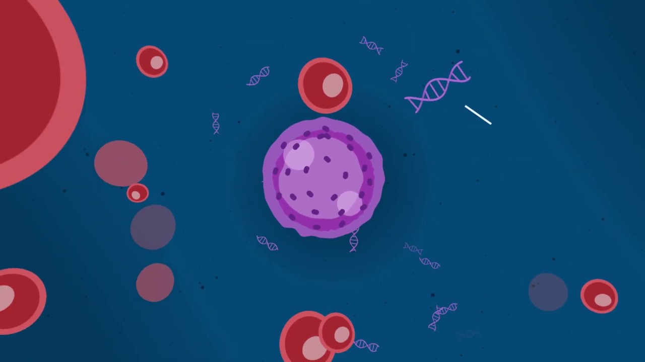 Introducing Signatera, a personalized, tumor-informed test