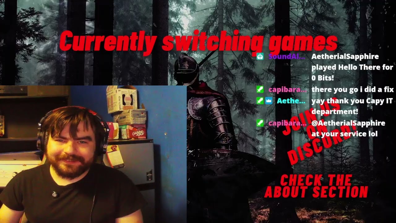 Shamuary Dark souls seamless co-op with shambro