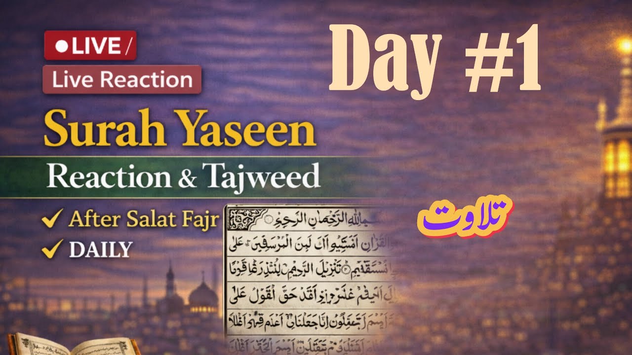 Surah Yaseen Live Tilawat with Tajweed | Heart Touching Quran Recitation