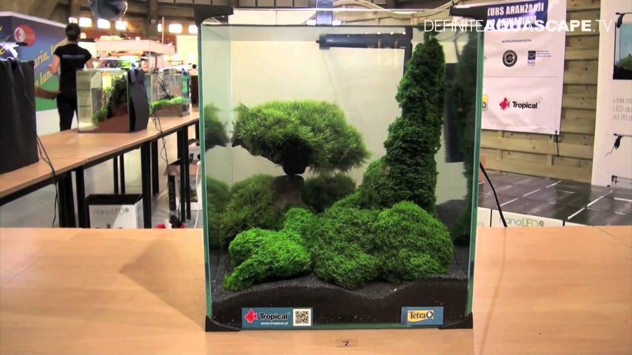 Aquascaping - Aquarium Ideas from ZooBotanica 2012, part 8