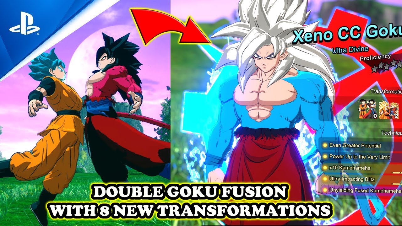 NEW Goku x Goku Fusion: 