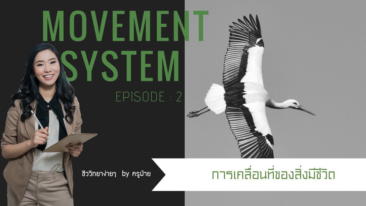 การเคลื่อนที่ของสิ่งมีชีวิต ep-2 : ชีววิทยาง่ายๆ by ครูฝ้าย