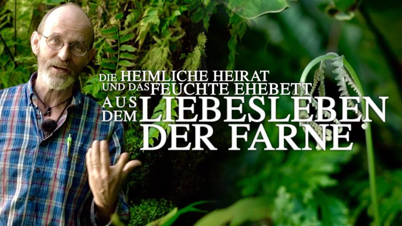 Heimliche Heirat und feuchtes Ehebett: aus dem Liebesleben der Farne